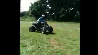 Quadzilla stinger 250
