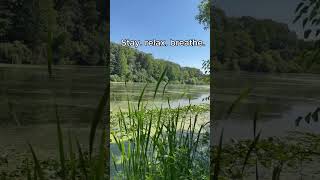 Stay. Relax. Breathe. | Peaceful Lake & Nature Sounds