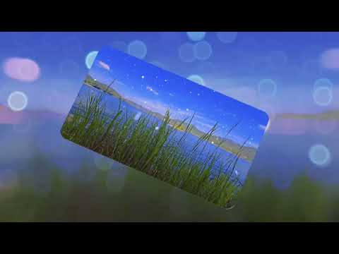 #바람같은 날을 살다가 # 정미조