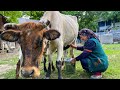 An Ordinary Day From Life In The Village! Cooking Breakfast For Our Whole Family