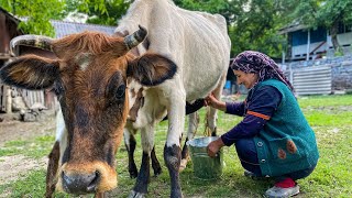 An Ordinary Day From Life In The Village! Cooking Breakfast For Our Whole Family