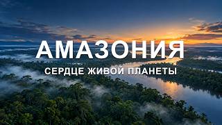Амазония: сердце живой планеты | Документальный фильм screenshot 3