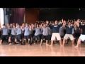 2010 school haka ko tamatea