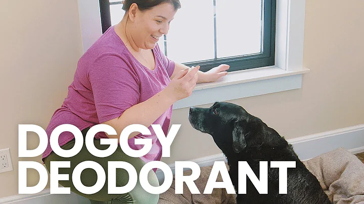 DIY Dog Deodorant: Freshen up your stinky dog! - DayDayNews