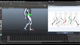 105-1數位化教材- 3D動畫製作(一)-walkcycle02