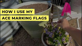 Ace Fluorescent Pink Marking Flags, 100 Pack - Overview & Demo