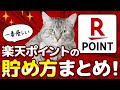 【要点だけ】楽天ポイント オススメの貯め方を解説！無理なく年間5万ポイント貯めよう！