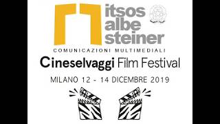 Il Logo Animato Dagli Studenti Di Seconda 1