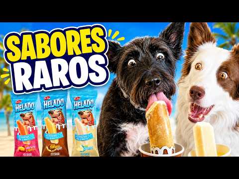 Lana and Mel TRY WEIRD FLAVOR DOG ICE CREAM 🍦🐶