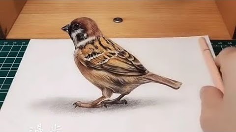 3d Drawing|How to draw 3d sparrow Drawing | 3d drawing sparrow step by step | 3d bird drawing