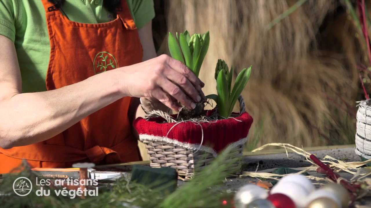 Comment fabriquer un centre de table pour Noël avec des jacinthes, du houx,  du cornouiller, du pin - thptnganamst.edu.vn