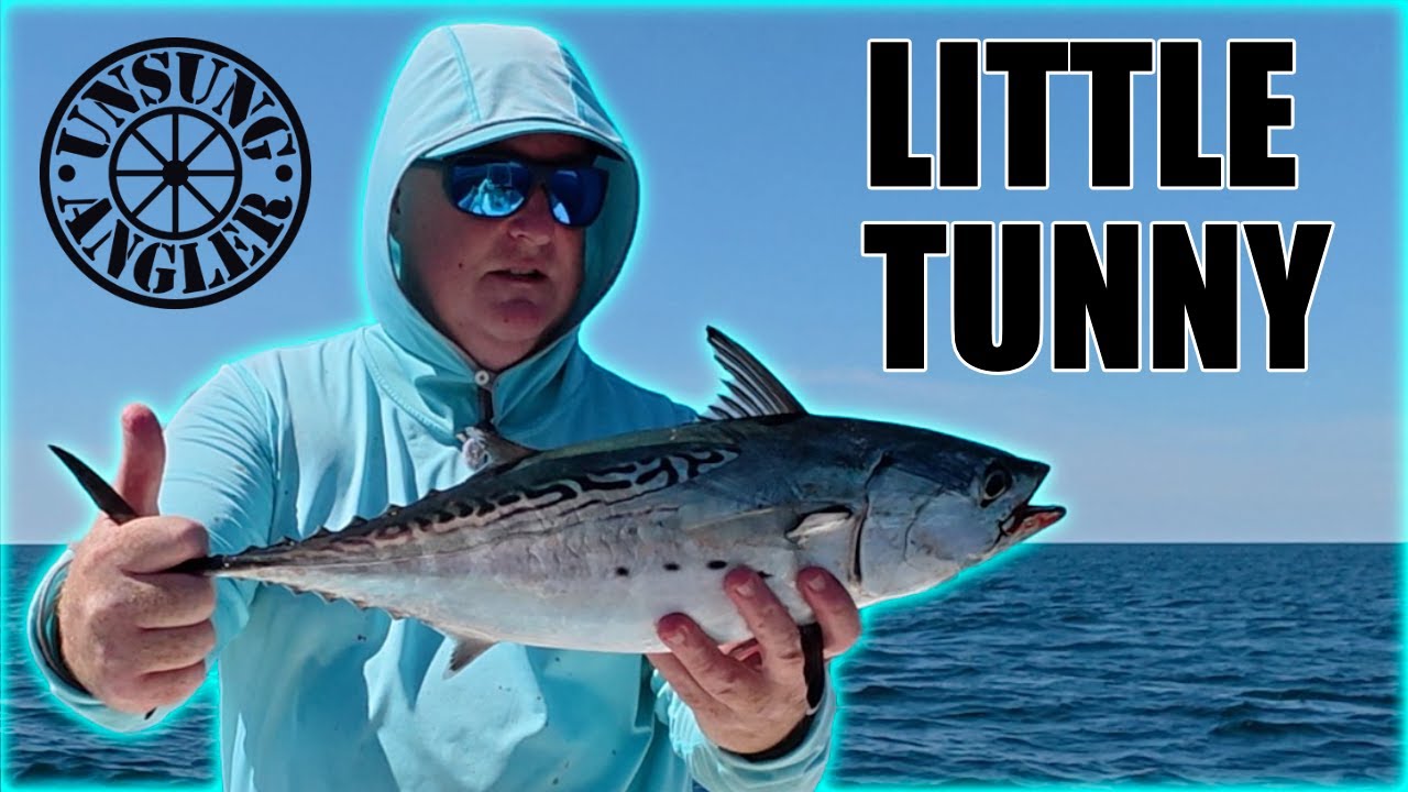 Bonito | Little Tunny | Drag BURNING Runs!!!