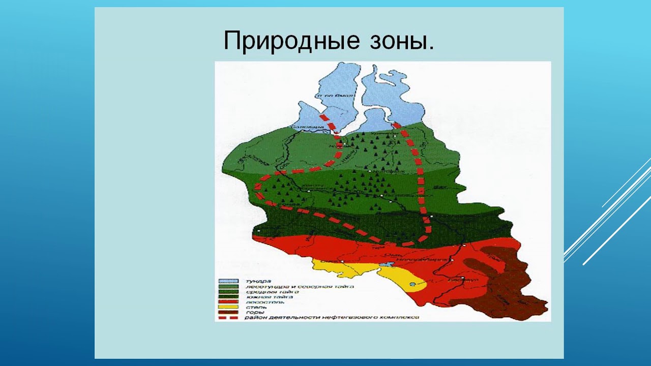 Климат западно сибирской равнины 8. Природные зоны Западно сибирской равнины на карте. Природные зоны Западной Сибири карта. Климатические зоны Западно сибирской равнины. Западно-Сибирская равнина климат карта.