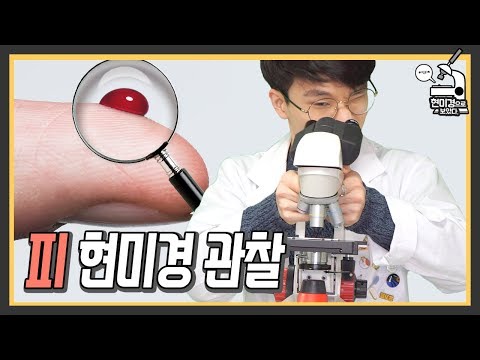 이게 우리의 피 속에 있는 것!? [미나니가 현미경으로 보았다.]