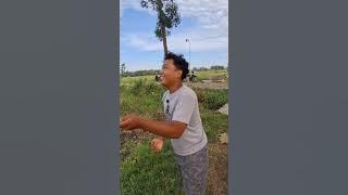 Spesialis layangan tidak bisa terbang#agungbobok #layangan #layanglayang #layangan2025