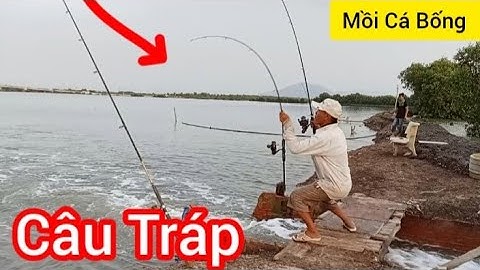 Câu Cá Tráp Đầu Mùa Gió Chướng Bằng Mồi Cá (Bống)Lên Toàn Siêu Phẩm / Đầu Mùa Gió Chướng Cá Ăn Mạnh 