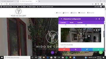 Tutorial de Wordpress con Tema Divi constructor visual para el sitio web de nidodecolibri.com