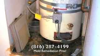 Mold Remediation Kansas City - Mold Removal Inspection Testing (816) 287-4199