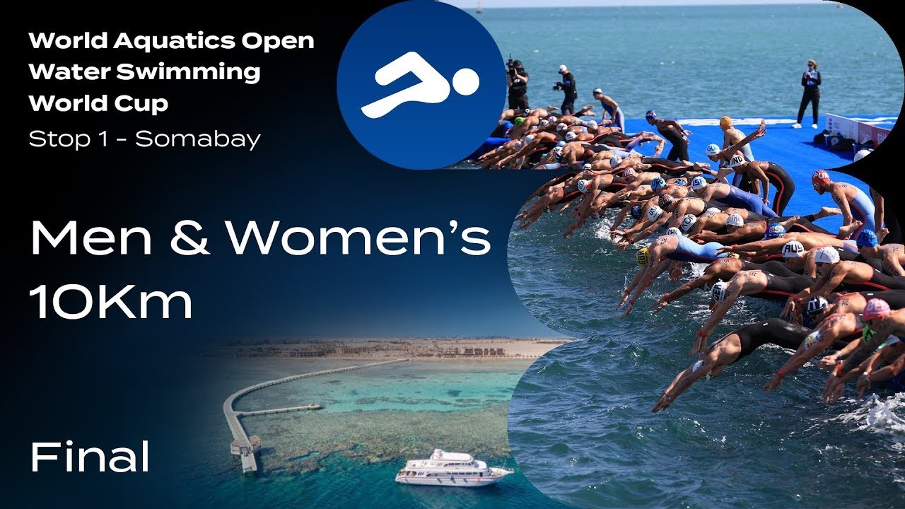 Olympic 10km Swimming Results