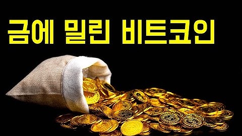 비트코인이 지고 금이 오른다고? GOLD가 오르는 이유와 향후 전망은? 지금 금을 사도 될까요?