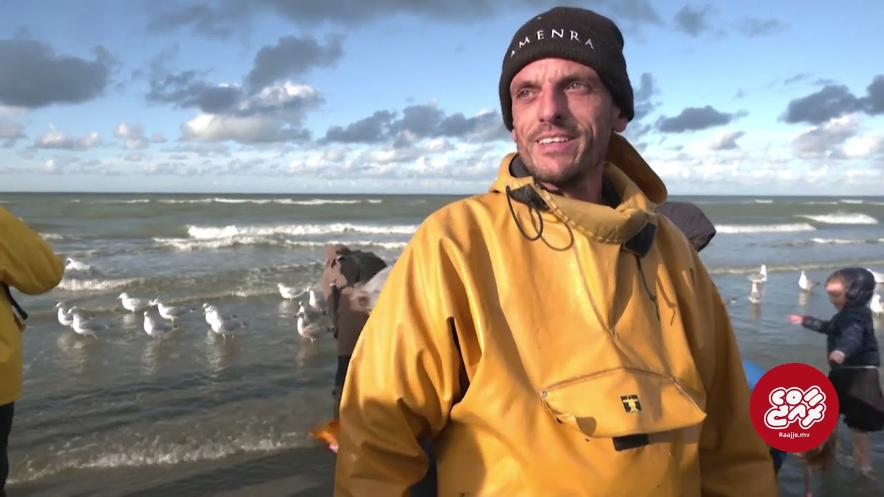 Belgium's traditional horseback fishers see climate change in their nets