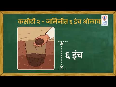 मका पेरणी कधी करावी