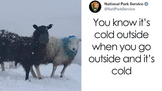 National Park Service Hired The Perfect Social Media Person As Their Tweets Are Hilarious