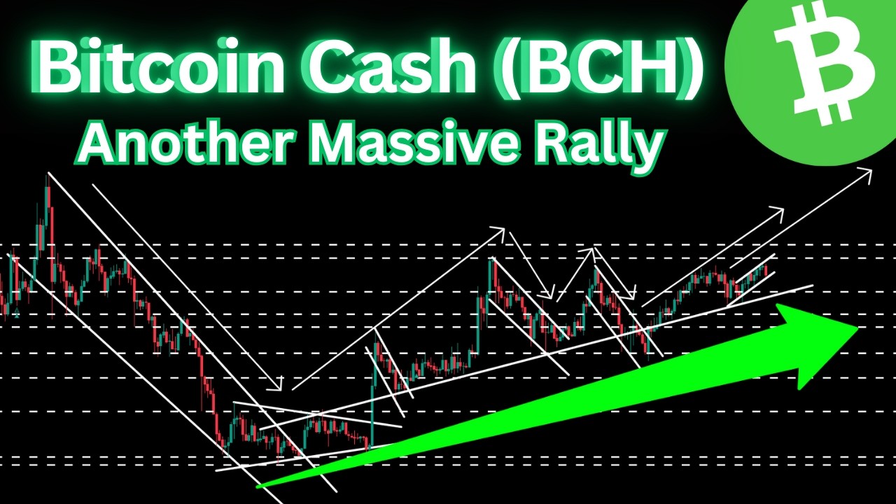 Big Reversal Of Bitcoin Cash | Another Massive Rally of BCH 🚀