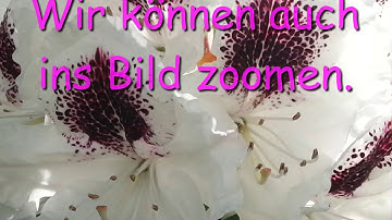 Neue m.objects Show anlegen