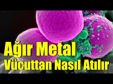 AĞIR METAL VÜCUTTAN NASIL ATILIR , Ağır Metal Detoksu , Fizyoterapist Aynur BAŞ