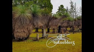 Abandoned : My First Cemetery. Mary had 16 kids!!!