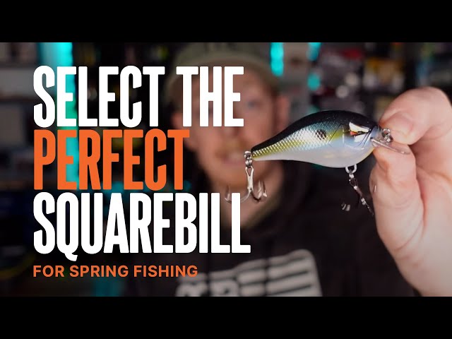 Selecting the Perfect Squarebill for Spring Bass 