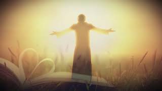 Reflections of my Heart through Jesus Christ, our only hope  by Ruthann  Bond