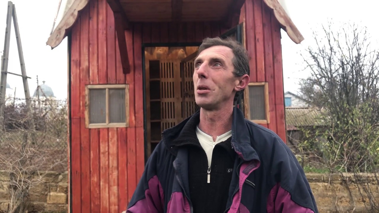 Голуби для души  2018 год .