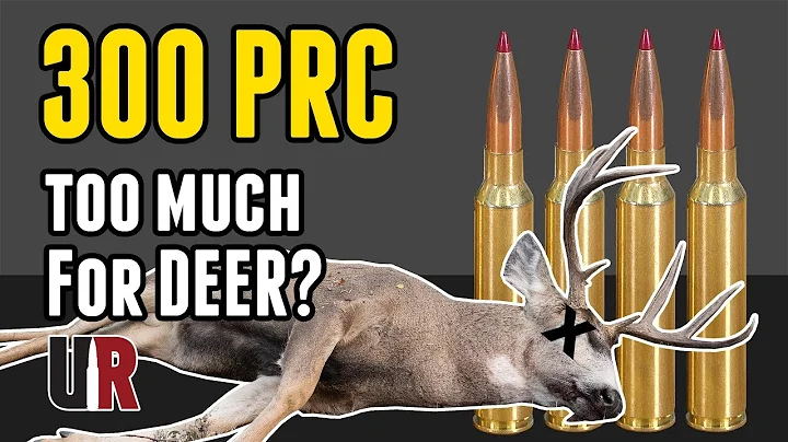 Is 300 PRC Too Much for Deer? Field Results!