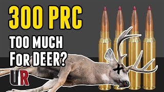 Is 300 PRC Too Much for Deer? Field Results!
