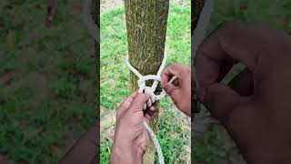 new trick and hacks #shorts #tech #art #craft