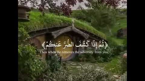 سورة النحل القارئ عبد الرحمن مسعد (52-55)