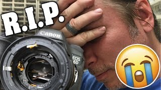 Giant Snake Broke My 2000 Camera Brian Barczyk