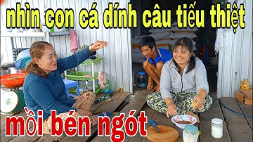 Bào Tới Bến Với 2 Món Tai Heo Luộc Chấm Mắm Ruốc Và Heo Quay Chiên # SĂN BẮT ĐỒNG THÁP #