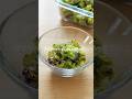 【春キャベツときゅうりのゆかり和え】調味料１つで子どもやみつき！#簡単レシピ #給食 #料理 #料理 #幼児食 #shorts