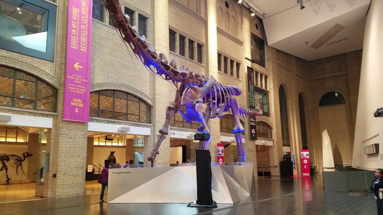 camera iphone 8 plus apk Awesome Futalognkosaurus Dinosaur at the Royal Ontario Museum in Toronto, Ontario, Canada