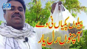 Peelon Pakian Ni | پیلوں پکیاں نی وے | Saraki Tv