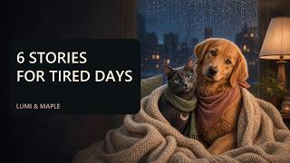 6 Gentle Pet Stories for the Days You Feel Tired | Lumi & Maple