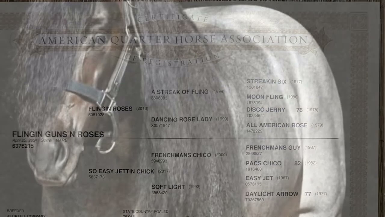 Flingin Guns and Roses