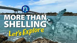 Experience More Than Shelling at Sebastian Inlet