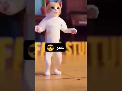 اشطر عمر عمر