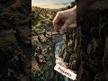 This Tiny World Needed Help