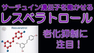 サーチュイン遺伝子スイッチON！【レスベラトロール】の老化抑制効果に注目！