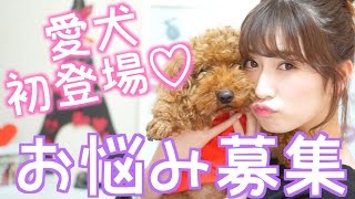【お悩み募集します！】〜最近の私〜愛犬初登場〜